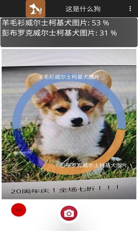 这是什么狗官方