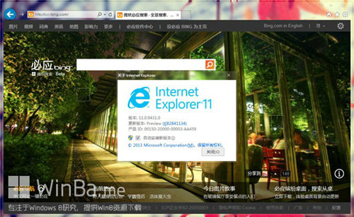 IE11 For Win7 64位1