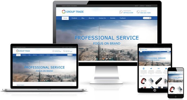 CatfishCMS电脑版截图