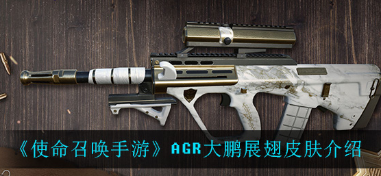 使命召唤手游agr大鹏展翅皮肤怎么样