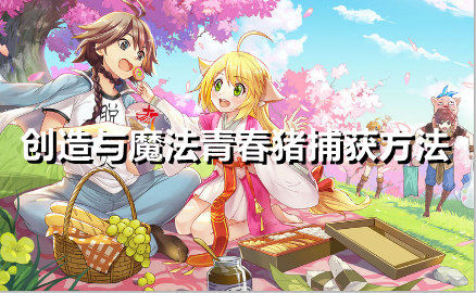 1627628088722835.png image.png