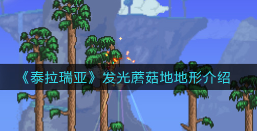 1631323889986266.png image.png