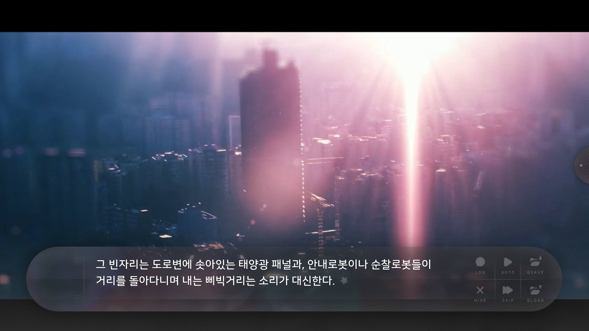 夏末花开Flowers Blooming at the End of Summer1