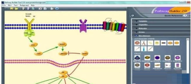 Pathway Builder Tool1