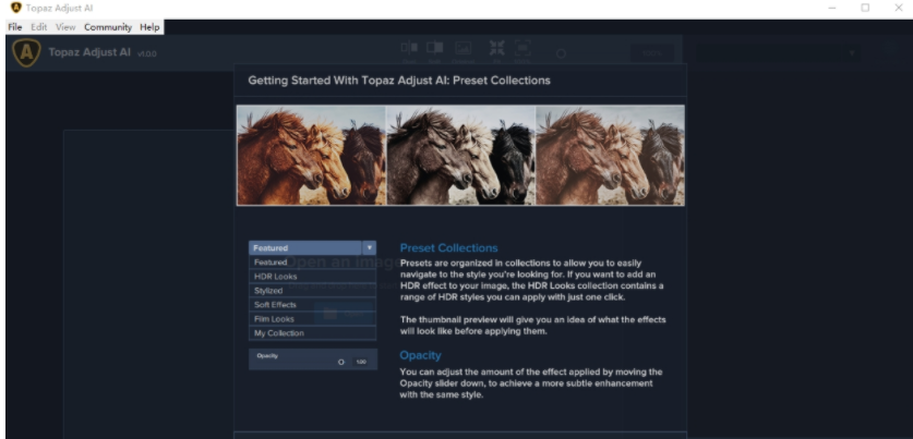 Topaz Adjust AI(HDR渲染软件)1