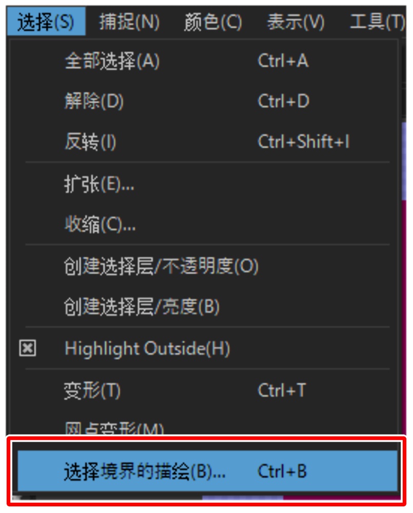 MediBang Paint Pro版