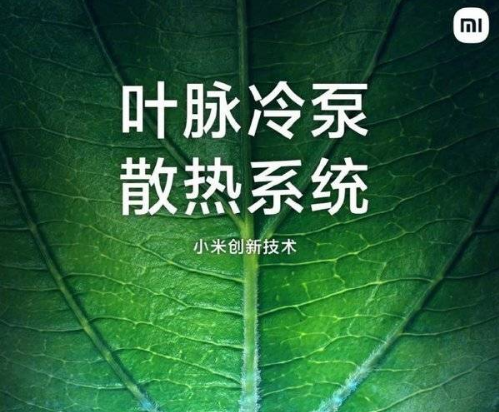 1656898757542073.png image.png