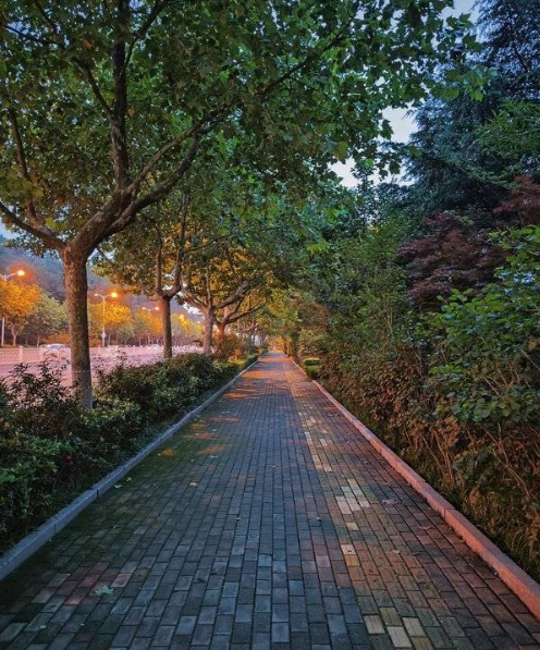 1657072747118805.png image.png