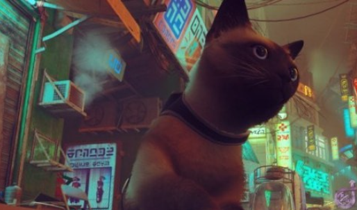 迷失Stray精致冰蓝眼暹罗猫MOD1