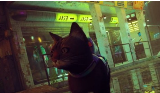 迷失Stray自由缅因浣熊猫MOD1