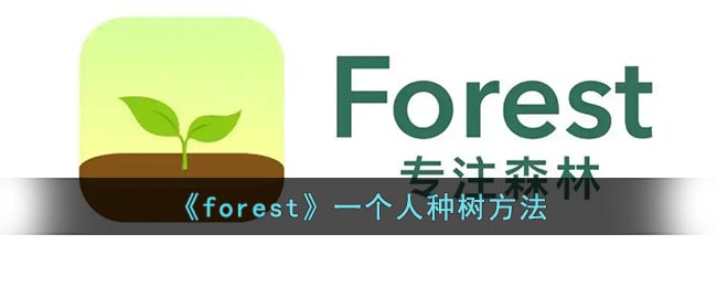 《forest》一个人种树方法