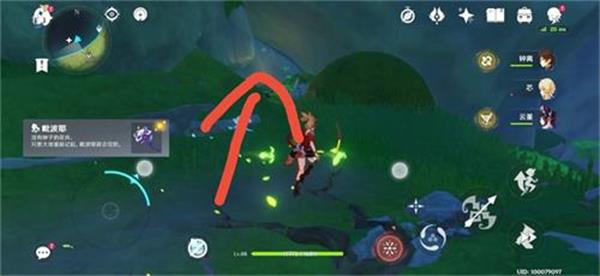 原神须弥二净甸锚点解锁攻略