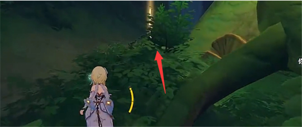 原神纳西妲意识连接选择攻略 原神纳西妲意识连接选择攻略