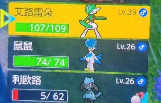 宝可梦朱紫灭歌队阵容搭配详解 宝可梦朱紫灭歌队阵容搭配详解