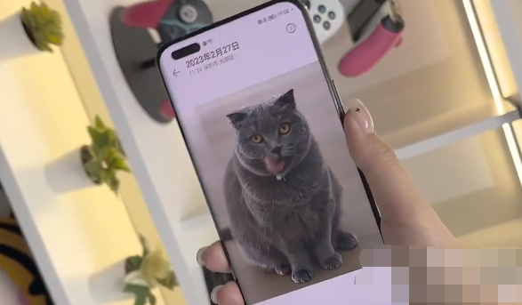 1679640555159864.png image.png