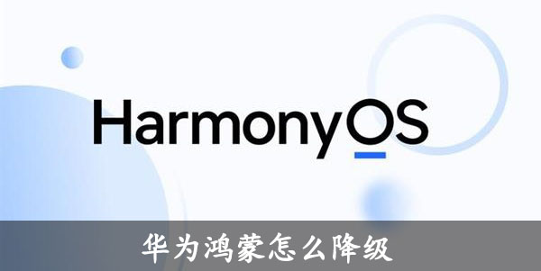 华为鸿蒙怎么降级