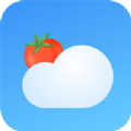 番茄天气手机版