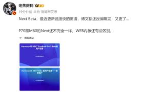 纯血鸿蒙测试版如何更新