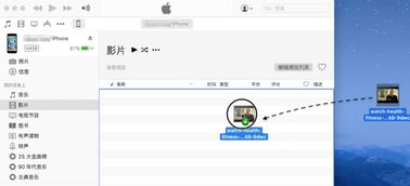 4种方法：在电脑上导入iPhone照片的详细教程