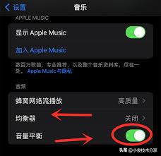 苹果手机音量小怎么办