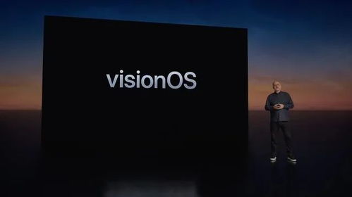 AppleVisionPro服务与支持