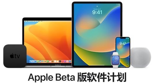 快速升级至iOS17beta的步骤