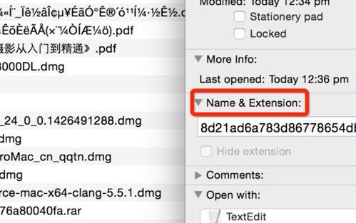 如何在iPhone上修改文件扩展名