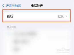 苹果x如何设置震动强度