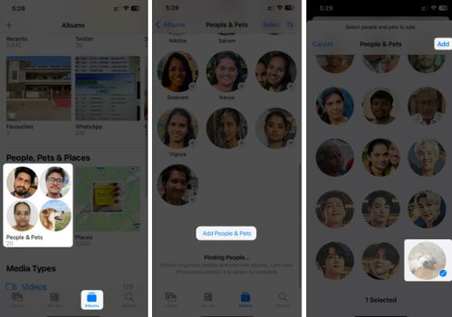 iOS17宠物识别功能无法使用