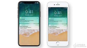 iOS17宠物识别功能无法使用怎么办