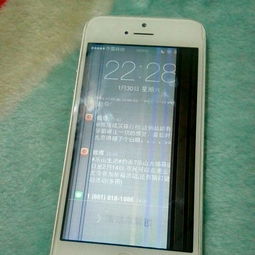 苹果15换屏幕费用一般是多少