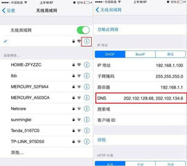 苹果手机如何设置DNS