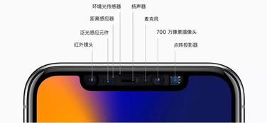 iPhone触觉键盘如何启用