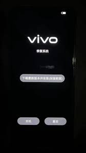 vivo手机闪屏问题如何解决