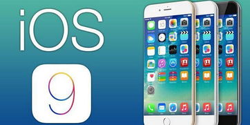 iOS17.0.3升级后能否降回iOS16