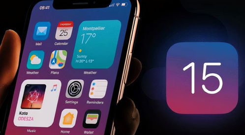 iPhone15支付功能是否可用