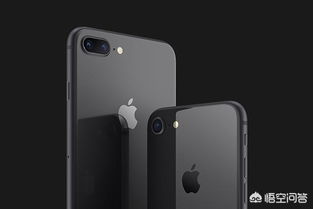 苹果手机8换电池多少钱