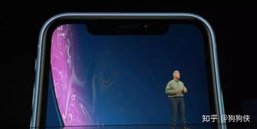 苹果XR手机动态壁纸设置教程