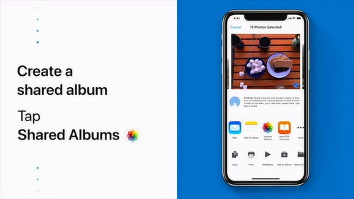 解决iPhone共享相簿不可见