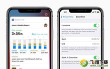 苹果11恋爱心动模式在哪里