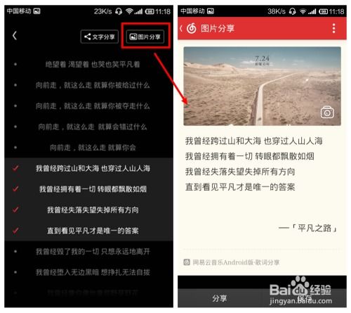 网易云音乐百科功能为何消失