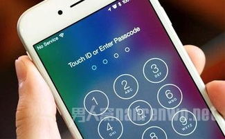 iPhone密码忘记了怎么办-iPhone忘记密码解决方案