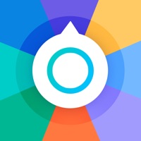 小决定和大转盘苹果版