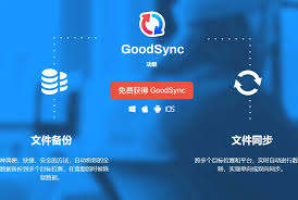 GoodSync是什么