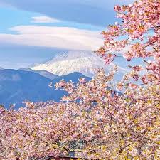 淘宝特价版入驻条件是什么