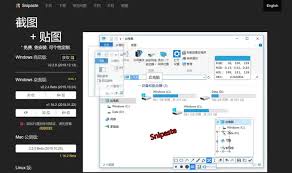 Snipaste截图后怎样添加模糊效果
