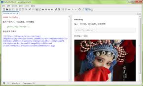 什么软件可以打开md文件