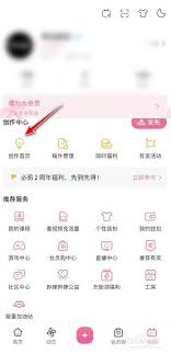 哔哩哔哩如何赚取收益