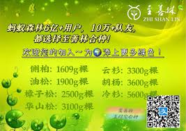 蚂蚁森林合种怎么踢人退队