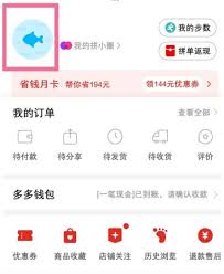 拼多多发票申请在哪